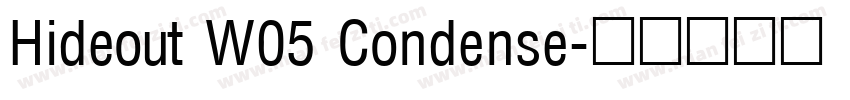 Hideout W05 Condense字体转换